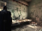 Batman: Arkham Asylum Screenshot 1 (Low)